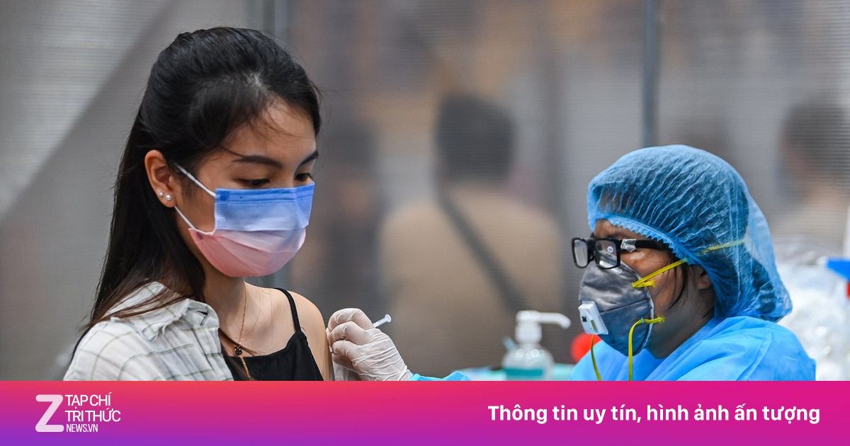 zingnews.vn