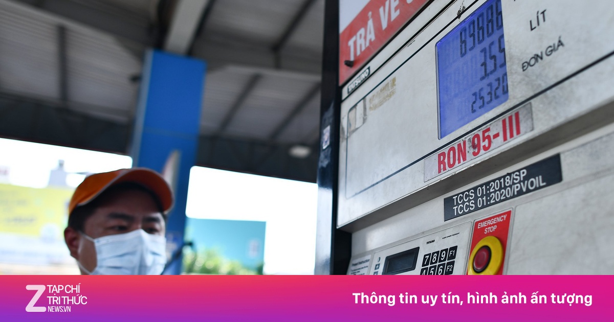 zingnews.vn