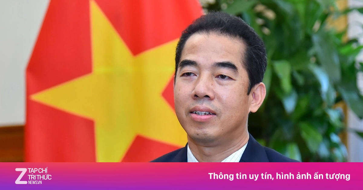zingnews.vn