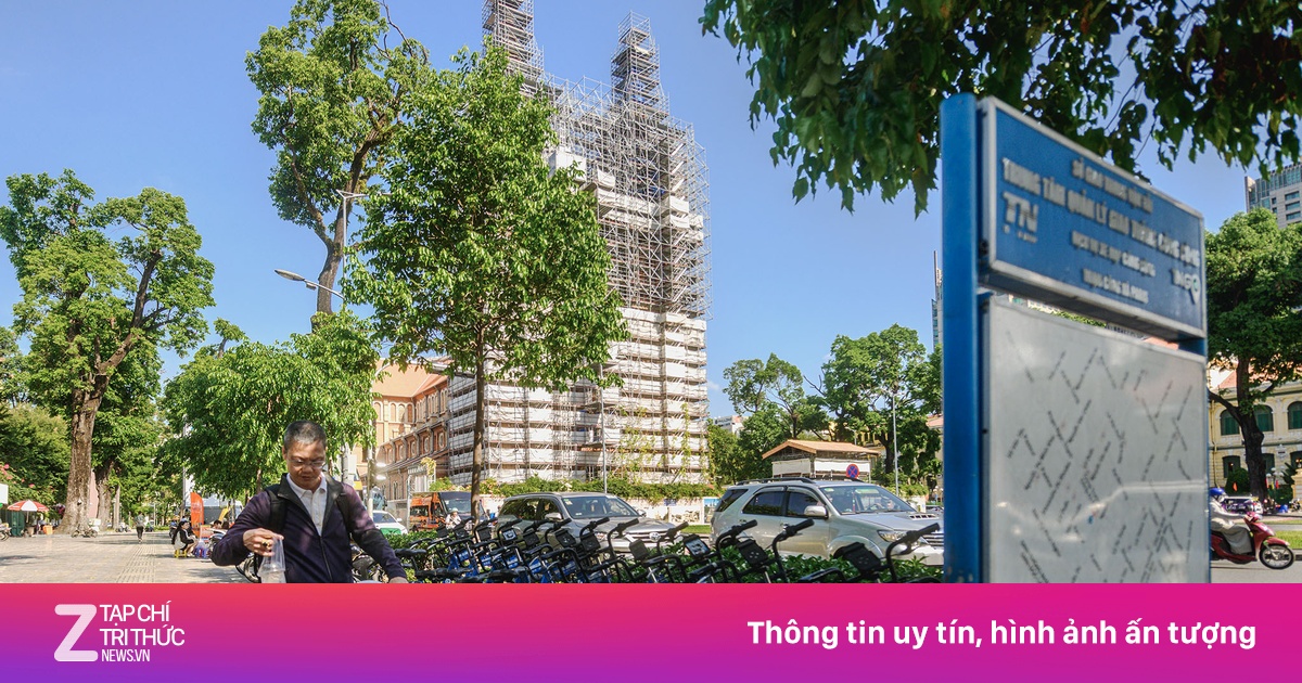 Xe đạp công cộng ở TP.HCM bị chim bồ câu 'xâm chiếm'