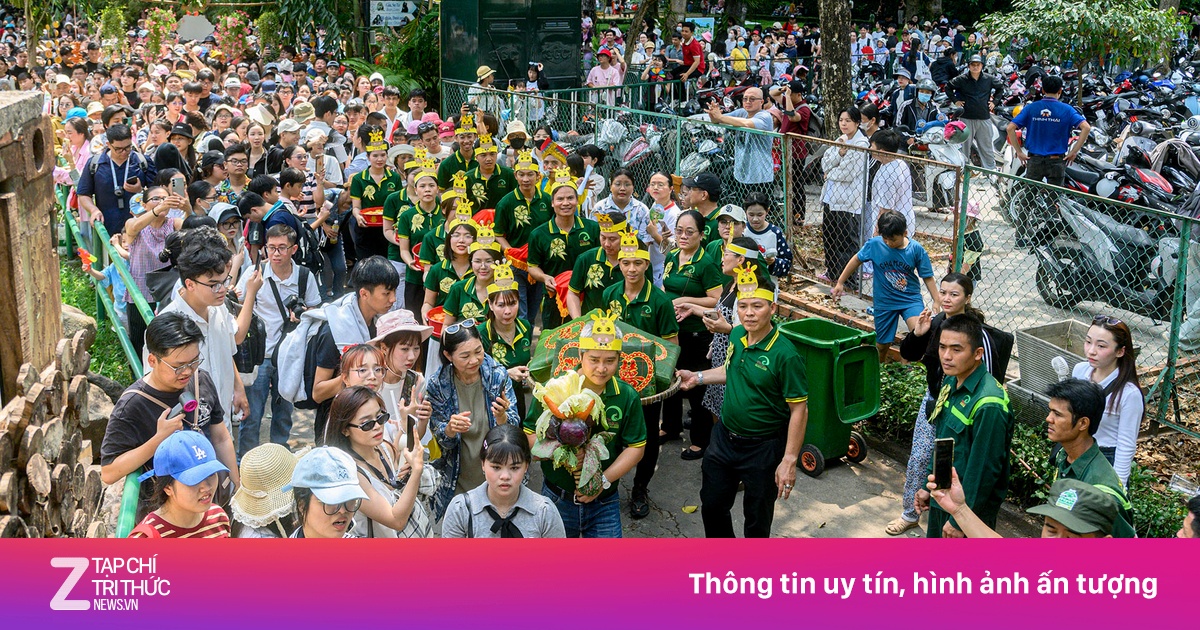 Biển người đổ về Thảo Cầm Viên ngày 30/4 xem 'đám cưới' hươu cao cổ