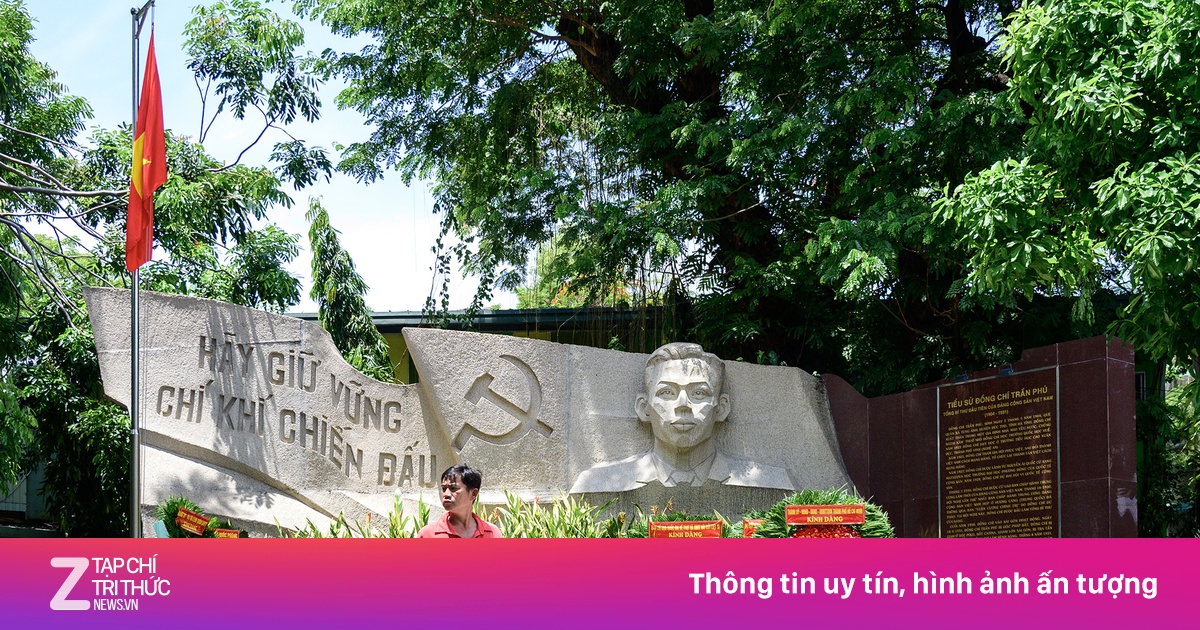 znews.vn