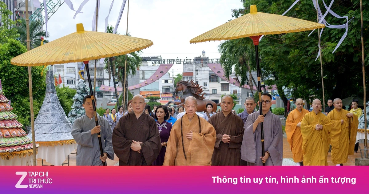 znews.vn