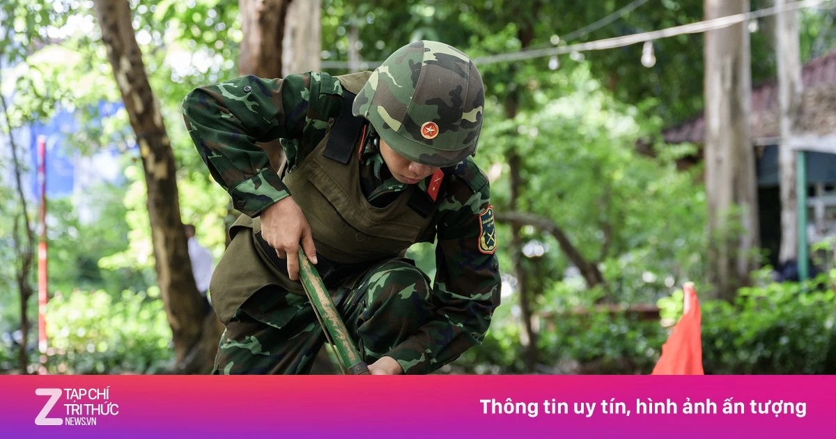 znews.vn