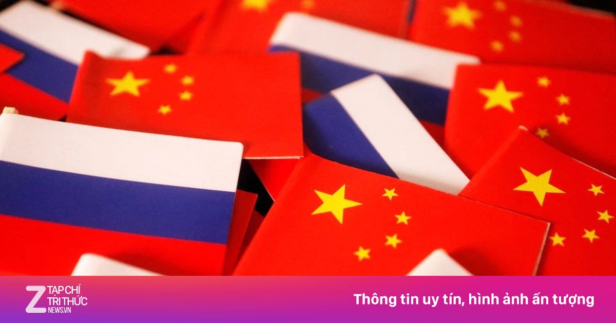 zingnews.vn