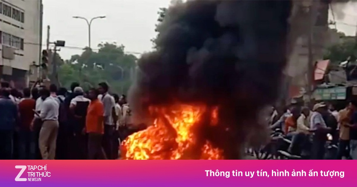 zingnews.vn