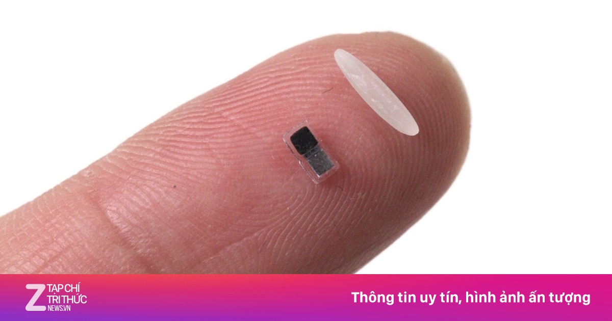 Máy trợ tim siêu nhỏ, kích thước tương đương hạt gạo