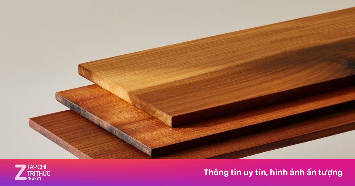 Đây là loại gỗ có khả năng chống đạn