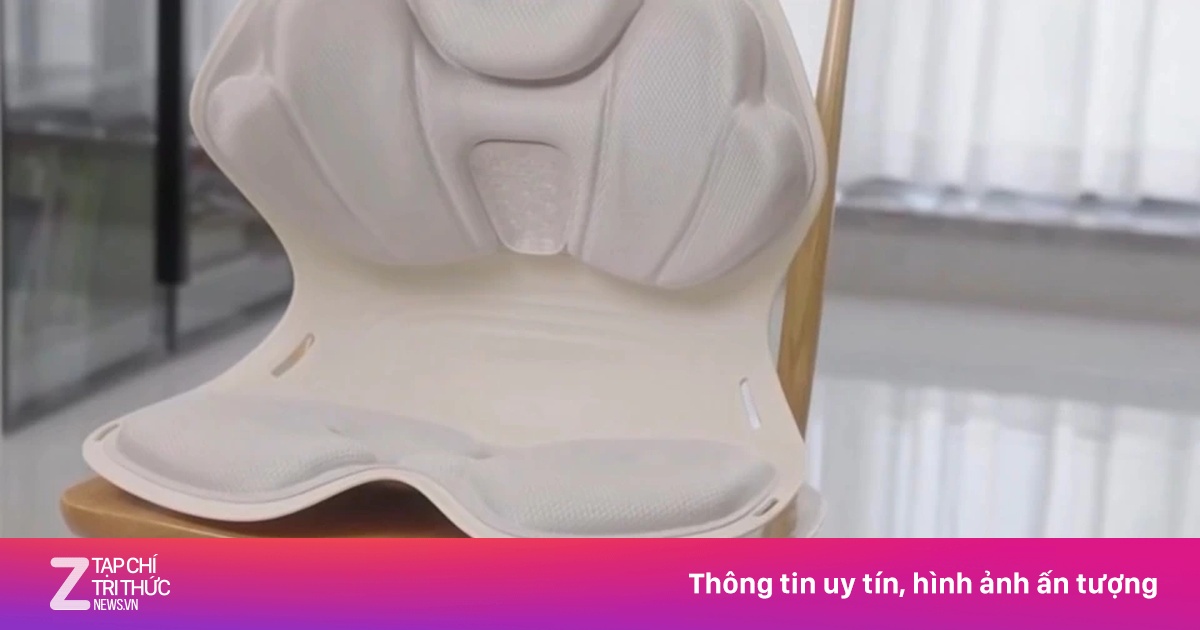 Cú lừa đệm công thái học giá rẻ