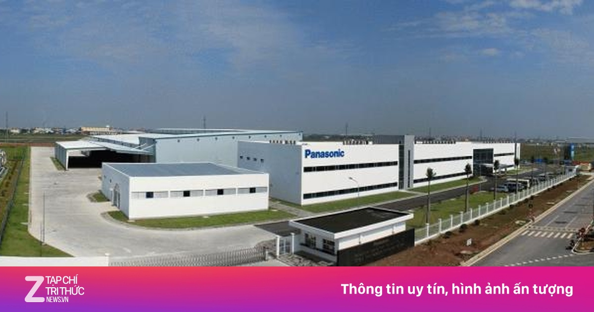 zingnews.vn