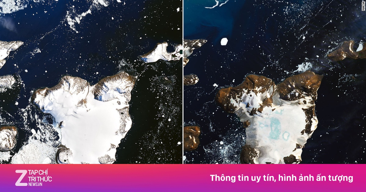 zingnews.vn