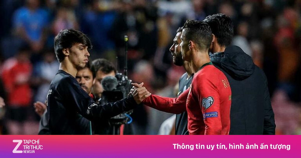 Image hình ảnh hình ảnh hình ảnh hình ảnh hình ảnh Renato Paiva - Joao Felix - người viết sử thay Cristiano Ronaldo - Cup Châu Âu