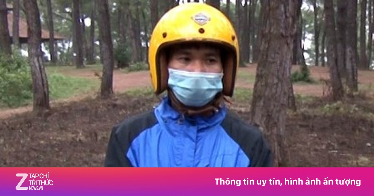zingnews.vn