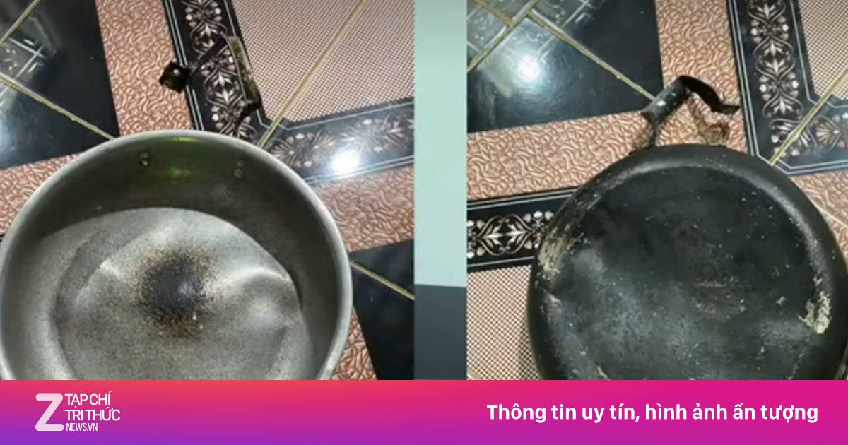 znews.vn