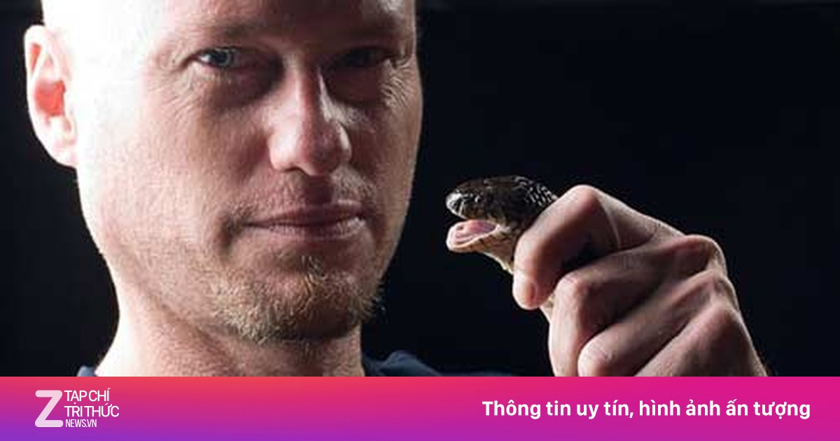 Cho rắn độc hạng nhất cắn 100 lần - Thế giới - ZNEWS.VN