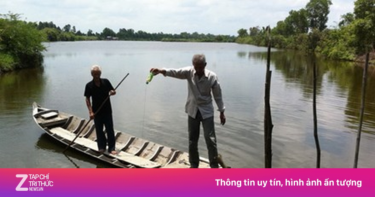 Mỏ vàng ở 'cánh đồng chó ngáp' - Kinh doanh - ZNEWS.VN