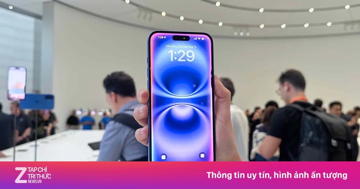 znews.vn