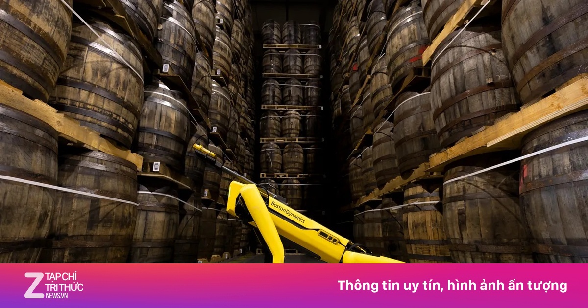 Rượu whisky trong tương lai sẽ tốt hơn nhờ chó robot