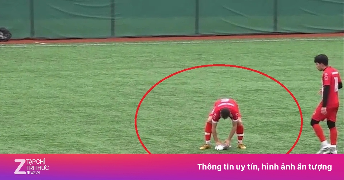 Cầu thủ ép tim cứu sống chim mòng biển giữa sân