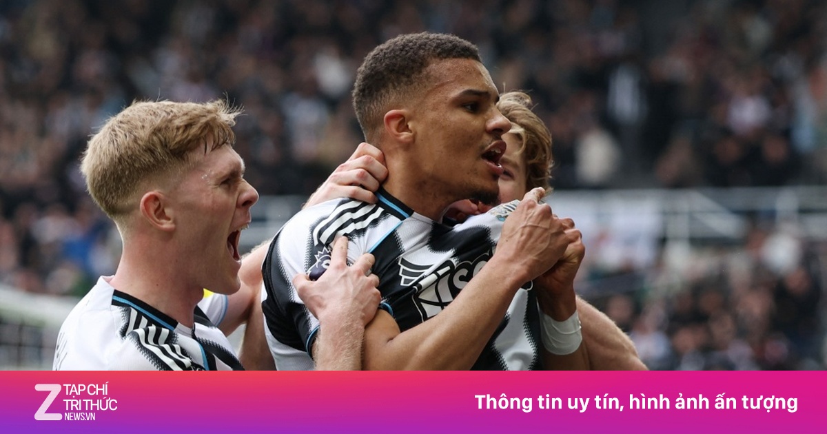 Newcastle United đối mặt án phạt nặng từ UEFA vì giao dịch nội bộ 'lách luật'
