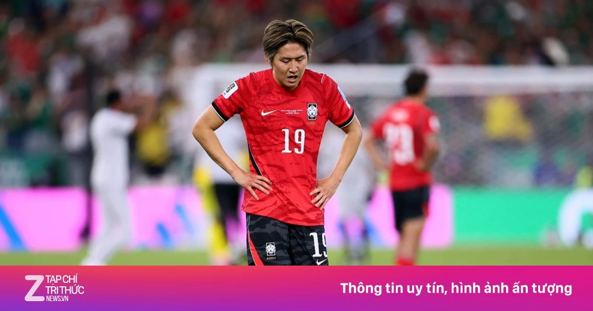 Fan Hàn Quốc yêu cầu các cầu thủ 'tự bơi về nước'