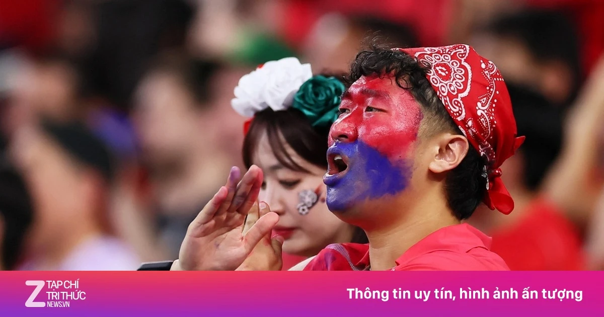 znews.vn