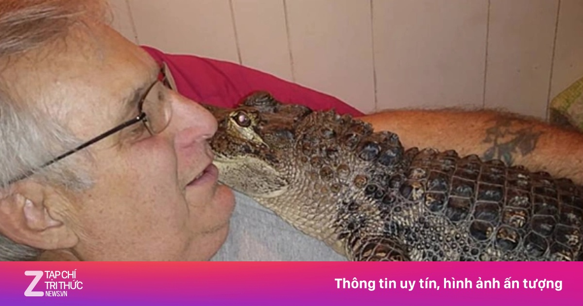 Mối liên hệ giữa thú cưng và chứng trầm cảm ở trẻ