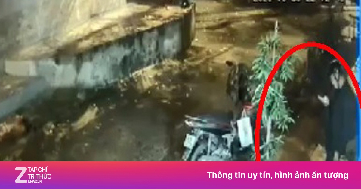 zingnews.vn