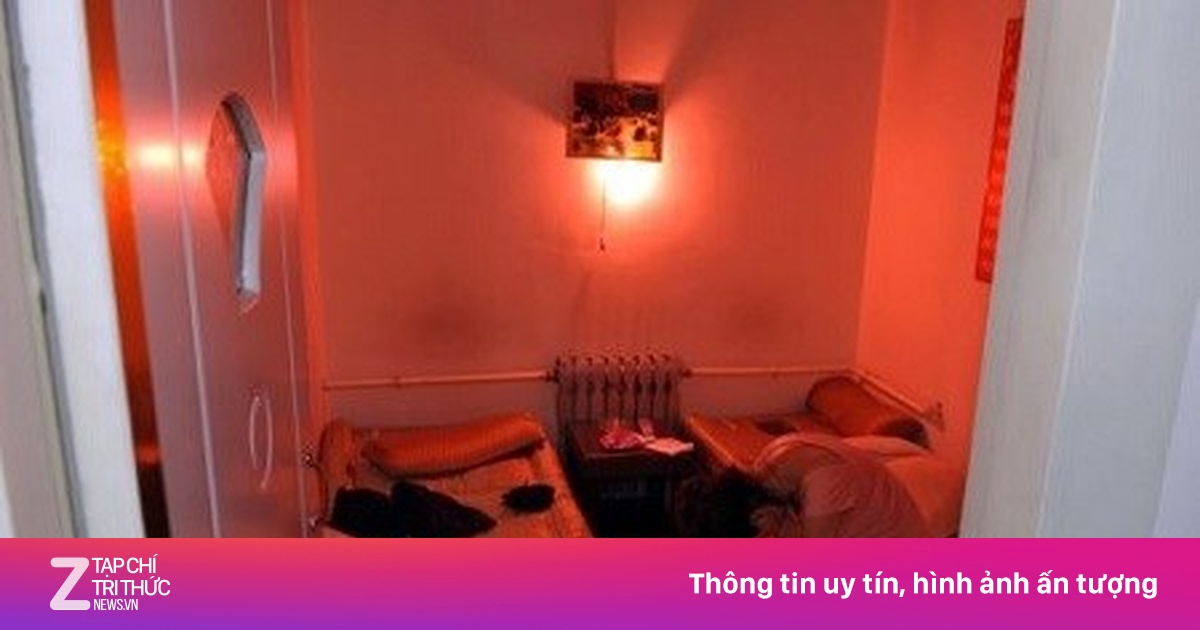 zingnews.vn