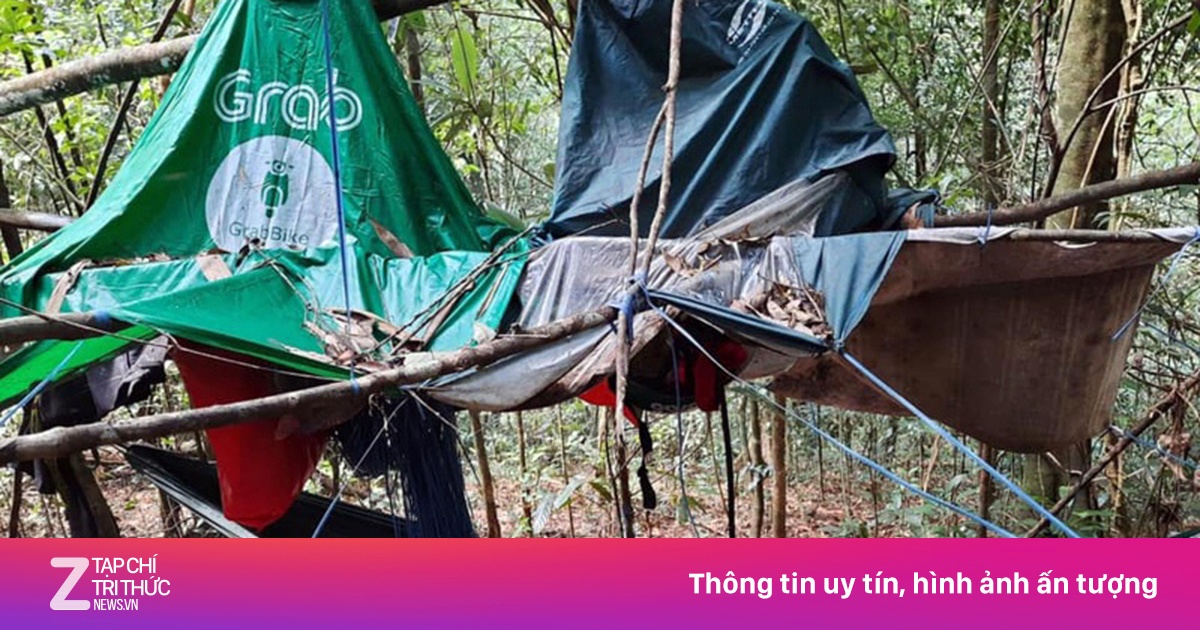 zingnews.vn