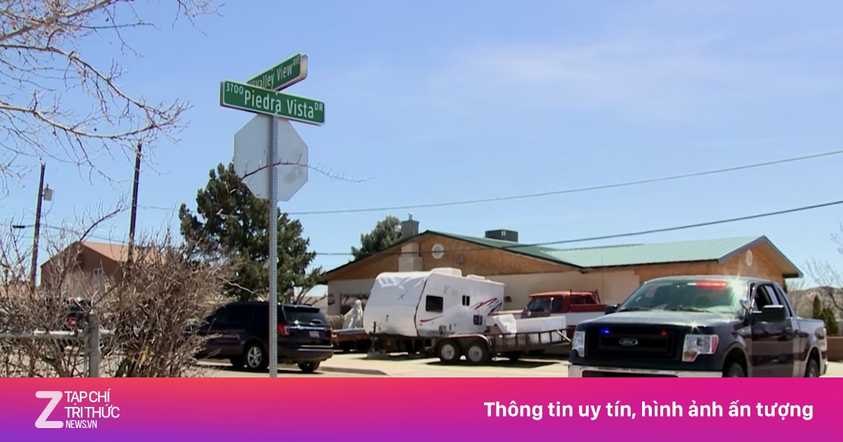 zingnews.vn