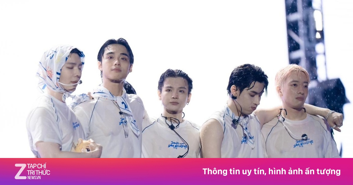 znews.vn