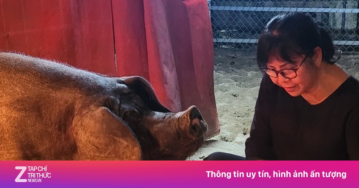 Cuộc sống của Ánh Tuyết trong biệt thự 500 m2