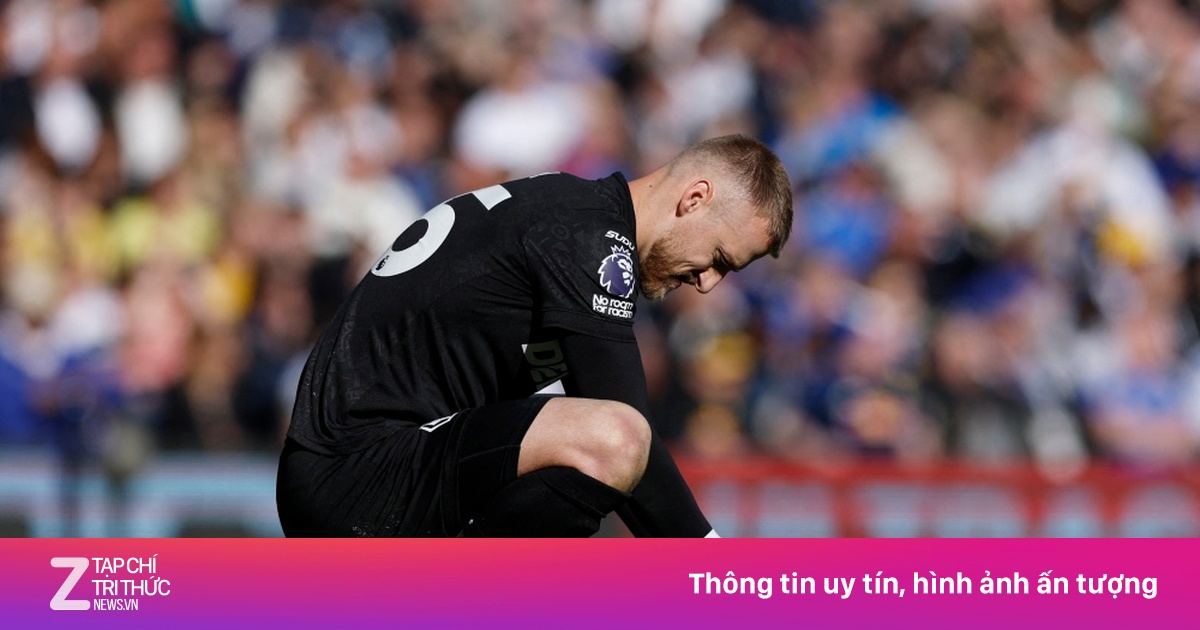 Wolves Trả Giá Cho Nhiều Năm Sai Lầm: Xuống Hạng Là Kết Cục Tất Yếu