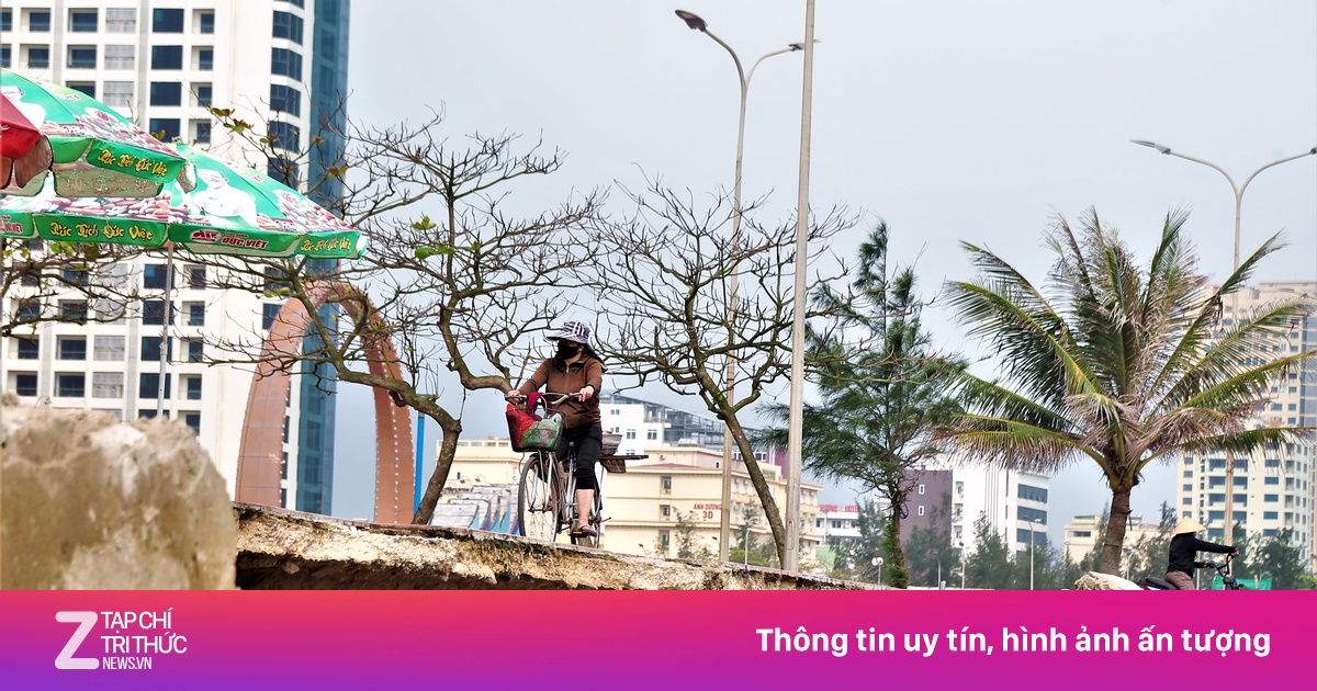 zingnews.vn