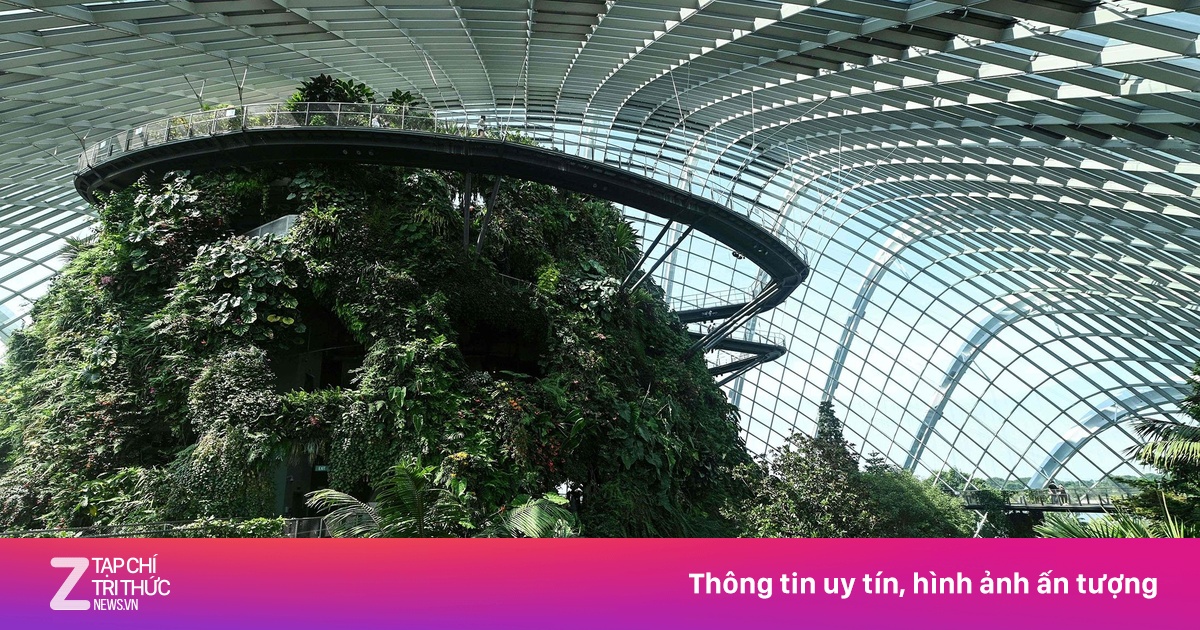 zingnews.vn