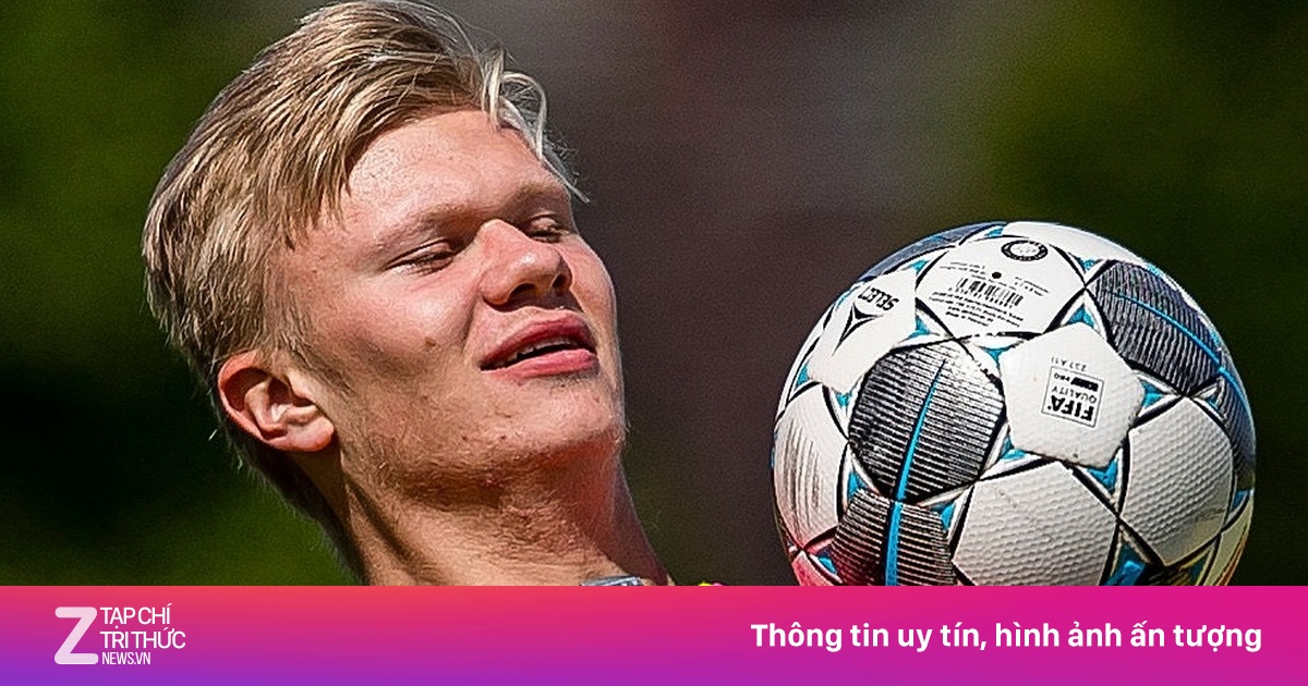 zingnews.vn