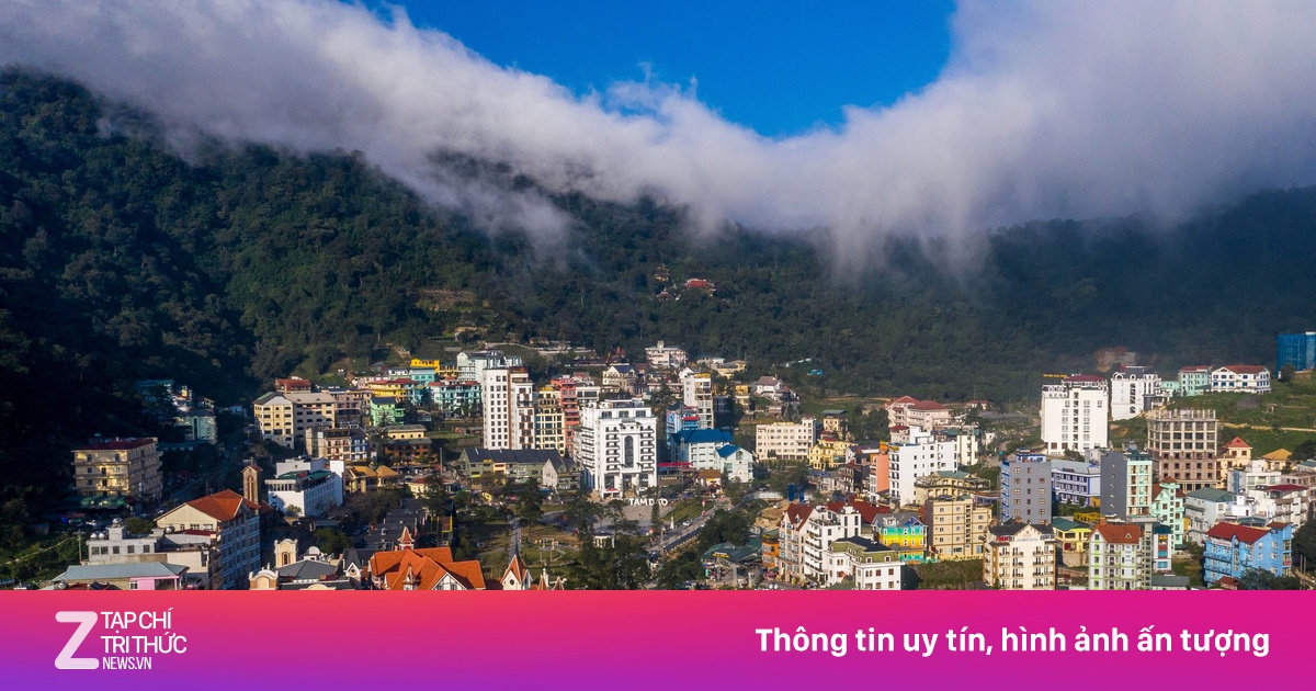 zingnews.vn