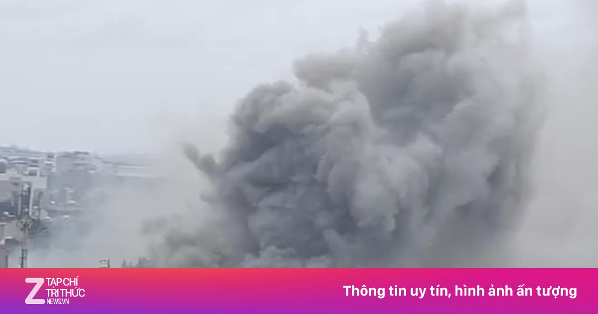 zingnews.vn