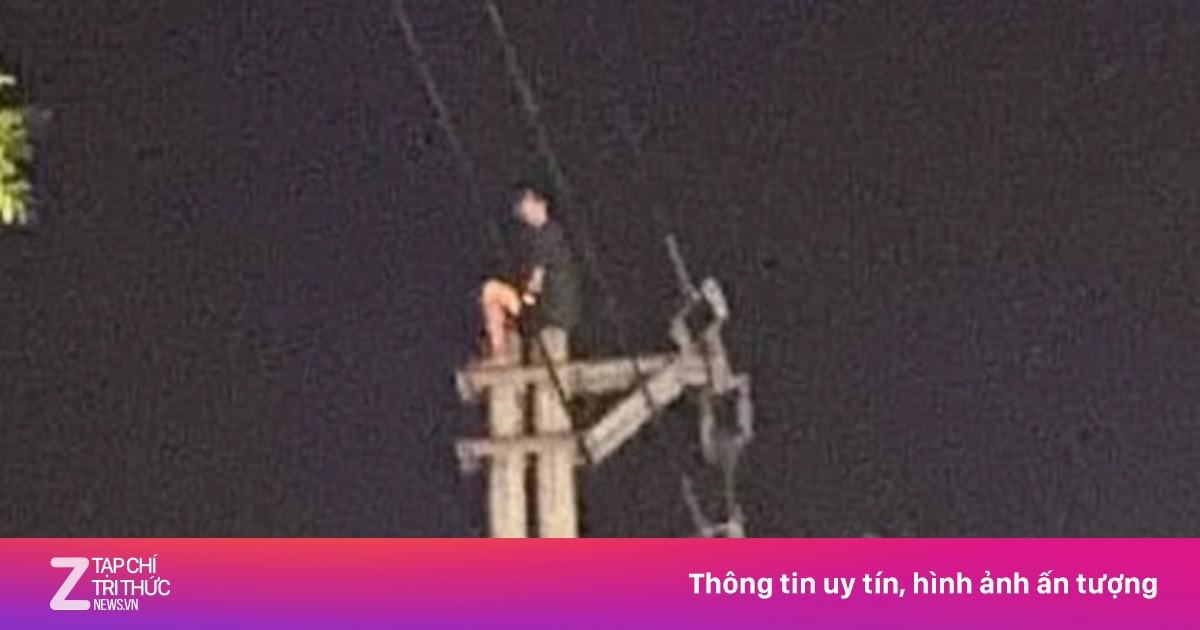 zingnews.vn