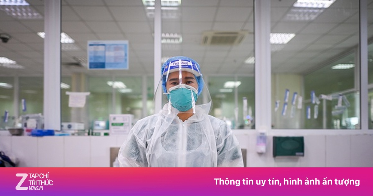 zingnews.vn