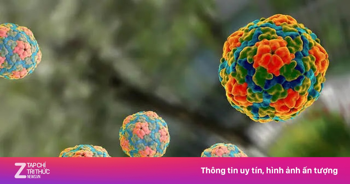 Ai có nguy cơ mắc bệnh viêm gan A?