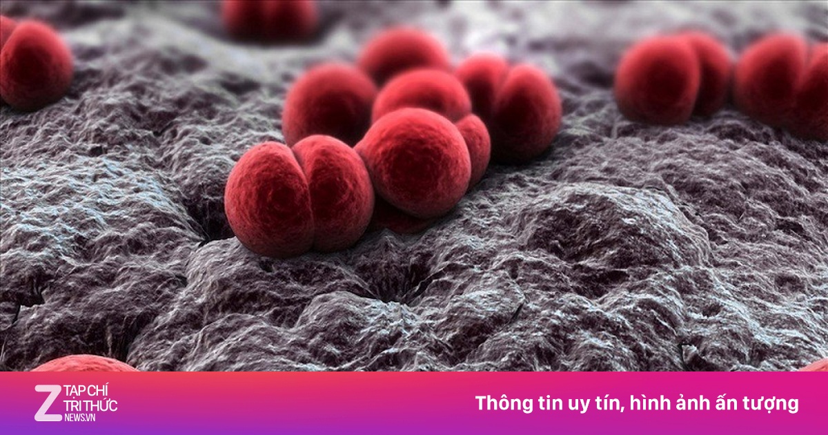 Vi khuẩn 'tử 24 giờ' khiến bé trai ở Vũng Tàu mất mạng