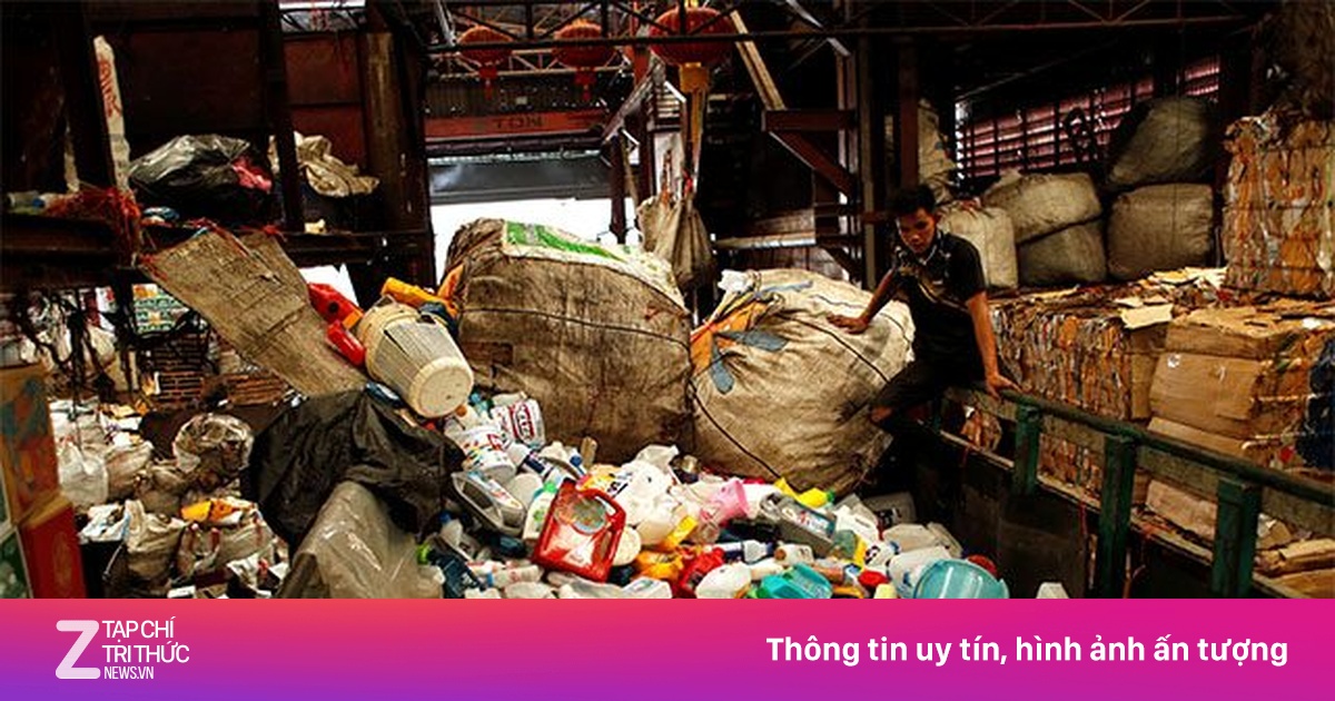 Biến rác thải nhựa thành thuốc giảm đau từ một loại vi khuẩn