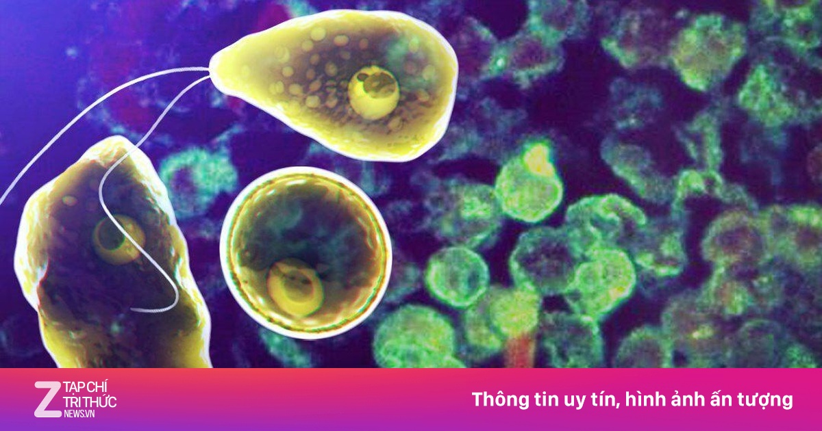 Bé gái bị ký sinh trùng 'ăn não người' tấn công