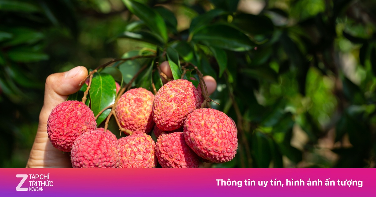 5 lợi ích không ngờ từ trái vải
