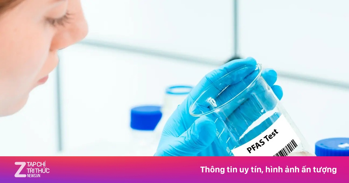 Phát hiện vi khuẩn nhỏ bé có thể 'ăn sạch' chất độc gây ung thư PFAS