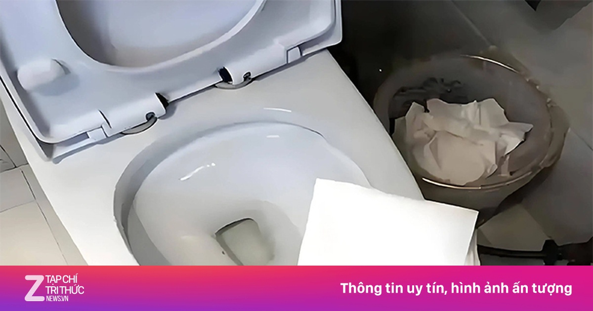 Nên cho giấy vệ sinh vào bồn cầu hay thùng rác?