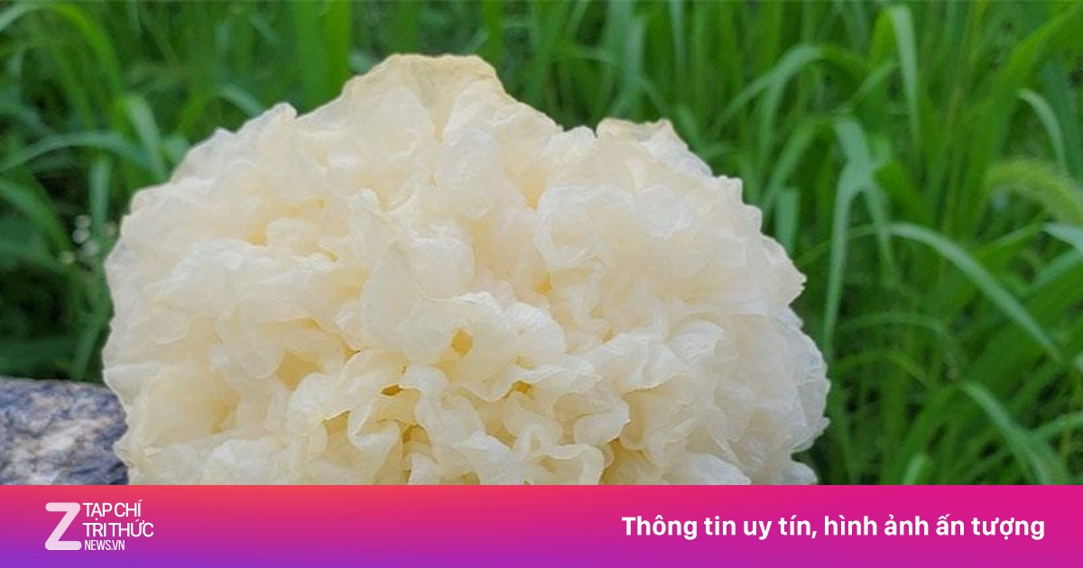 4 món canh thuốc giúp dưỡng âm, bảo vệ phổi