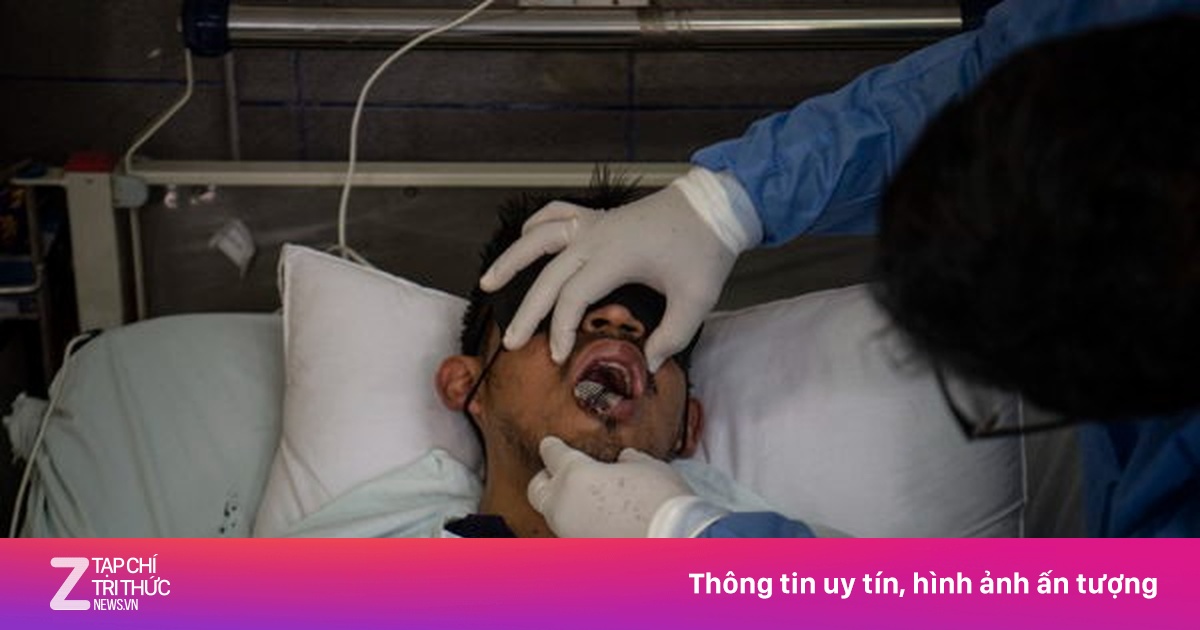 Loài virus gây tỷ lệ mất mạng đến 80% lại bùng phát